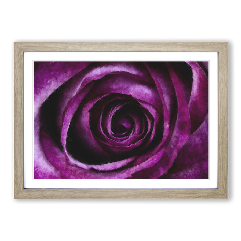 Purple Rose Flower Vol.2 - Framed Print, 27cm H x 36cm W x 2cm D, Oak Framed