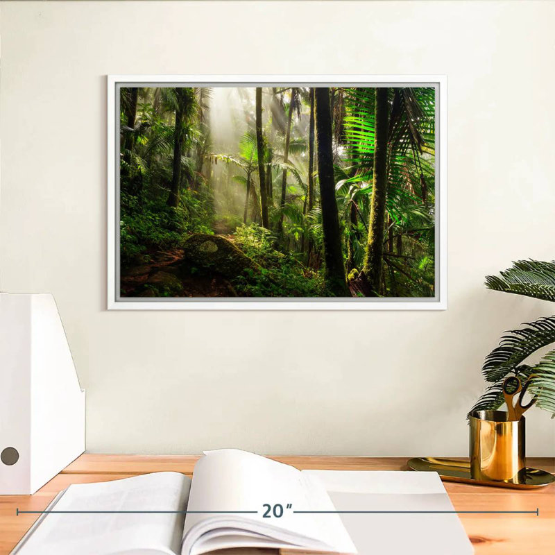 Forêt nationale d'El Yunque, Cadre flottant blanc, 13 po x 9 po