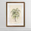 « palmierss iii » par paul cezanne-reproduction d’art sur image-300102808-357980995-357981005