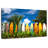 Senne Surfboard Row-106811323