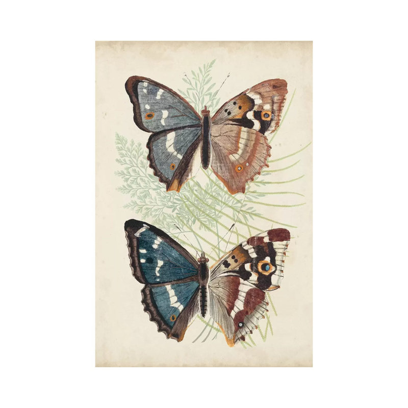 Butterflies And Ferns IV - Wrapped Canvas Print, 30.48 cm H x 45.72 cm W