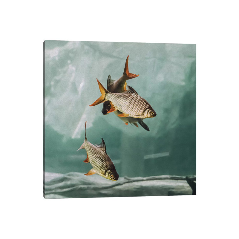 The Swarm I Square by Monika Strigel - Wrapped Canvas Painting, 30.48 cm H x 30.48 cm W