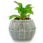 Mini pot à fleurs en céramique Star Star