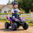 Mauve est en rupture de stock