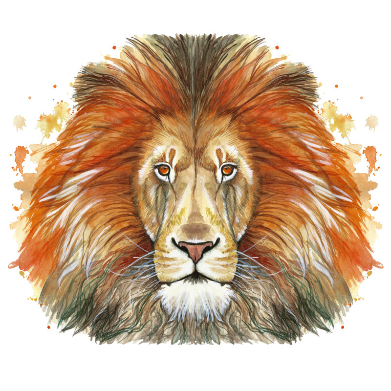 Red lion 1 Piece Wrapped Canvas Painting, 51cm H x 51cm W