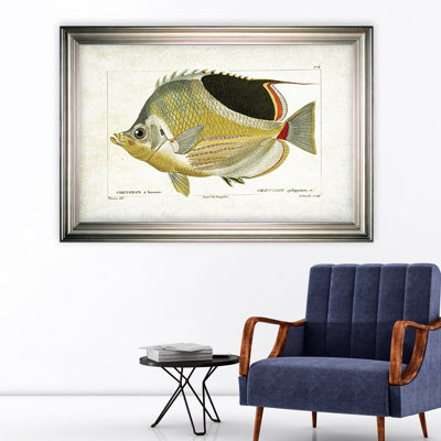 « fish sketch i », impression