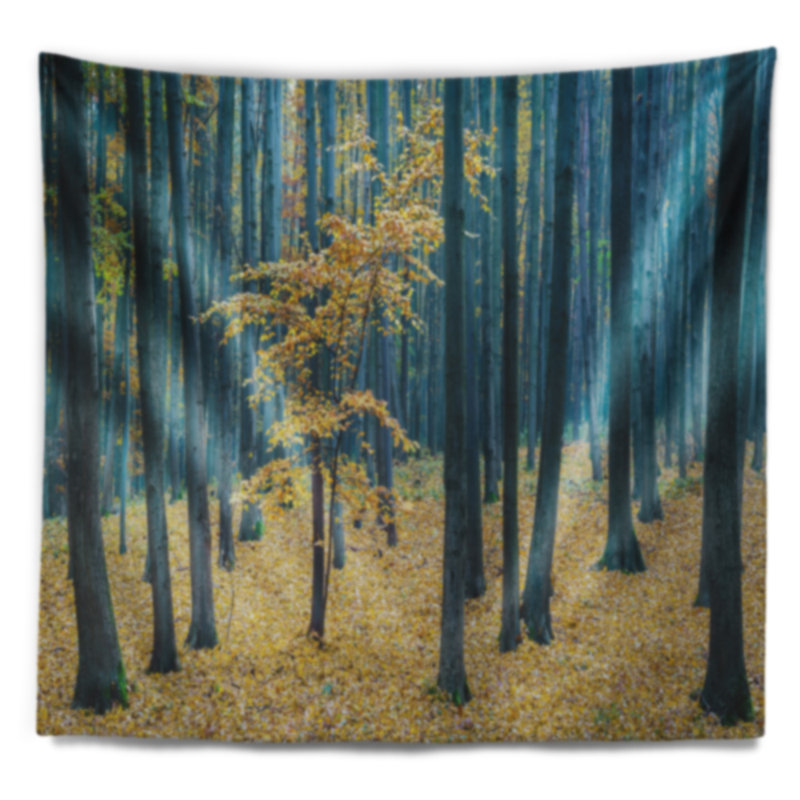 Tapisserie «Forest Dense Autumn Beach Forest», H 32 po x l 39 po