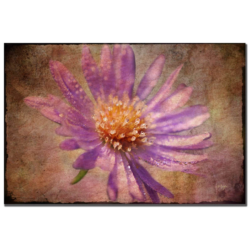 " Textured Aster " by Lois Bryan, 16" H x 24" W x 2" D