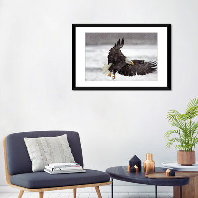 Reproduction de photo sur toile, "chauve eagle à l’intérieur d’une tempête de neige, alaska chilkat chauve eagle, alaska, usa"