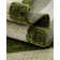 Songul Indoor Rug