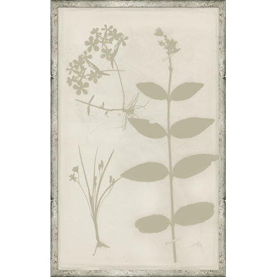 " Ghost Herbaria In Celedon " by Soicher Marin Archives