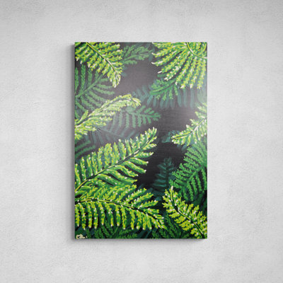 Ferns