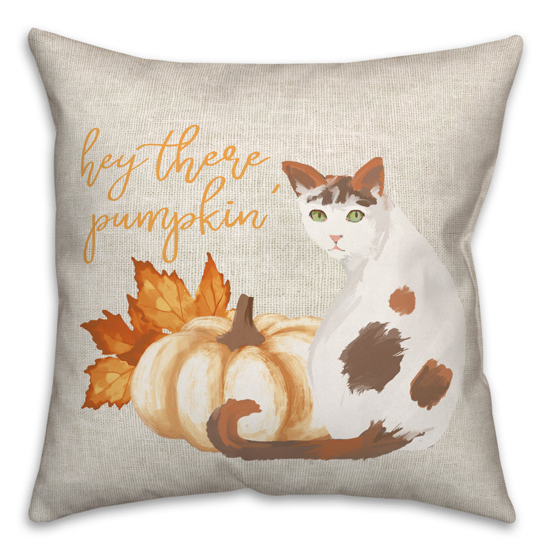  Housse de coussin carré et insert