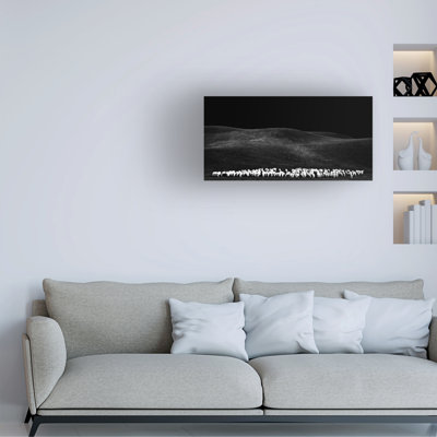 Franco Maffei White Sheps Canvas Art