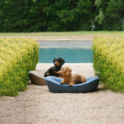 Lit orthopédique pour chien Enid Blythe - imperméable, modèle Wren's