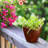 2-Pack 10 in. Plastic Self-watering Planter Pot-236216314