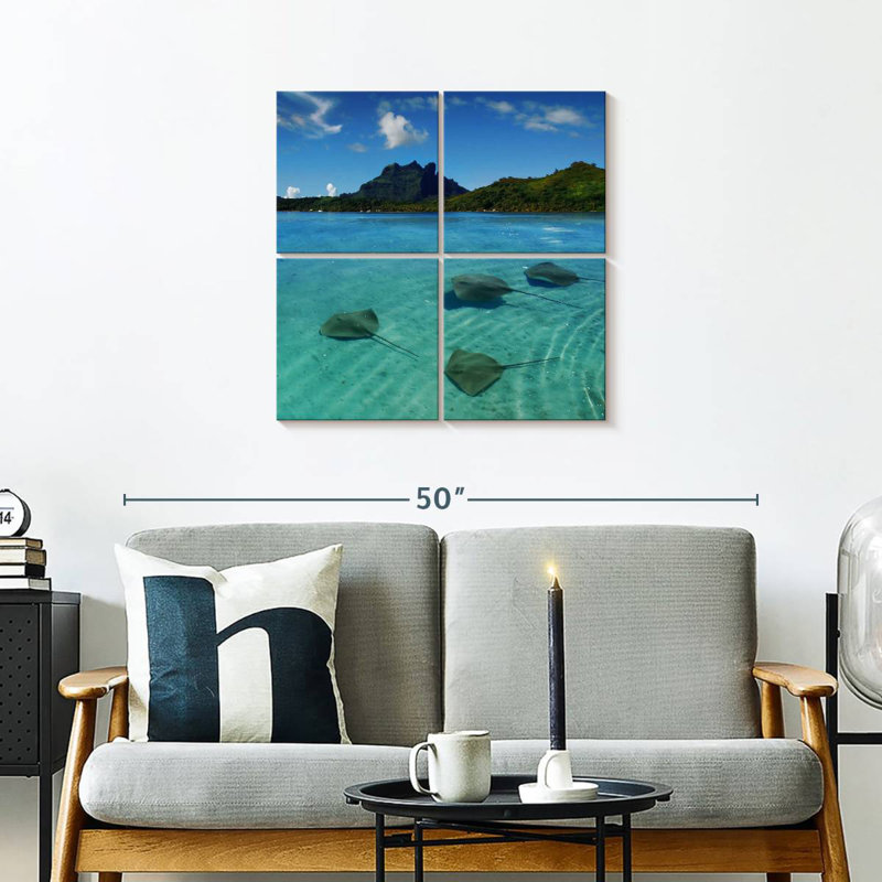 Brampt Bora Bora Stingrays, 26" H x 26" W