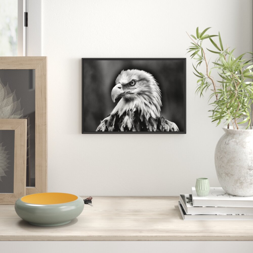 Gerahmtes Wandbild Mächtiger Weißkopfseeadler