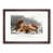 Walnut Framed selected