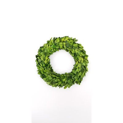 Preserved Boxwood Wreath