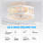 Cheetara 16.5 Ceiling Fan-539107204