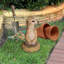 Trou dans une statue de suricate africain