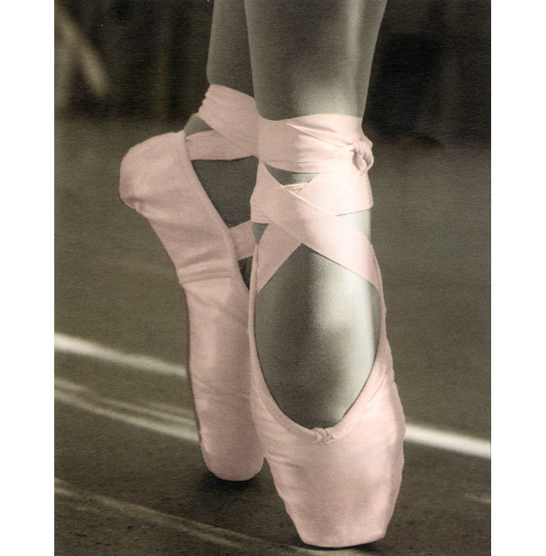Ballet Shoes, 18" H x 14" W