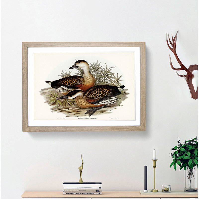 Whistling Ducks by Elizabeth Gould - Picture Frame Painting Print, 36cm H x 48cm W x 2cm D, Oak Framed