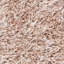 Tapis beige à poils longs Assar-893434766
