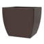 Alexy Pacifica Flower Box-589427902-589427889