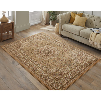 Oriental Area Rug