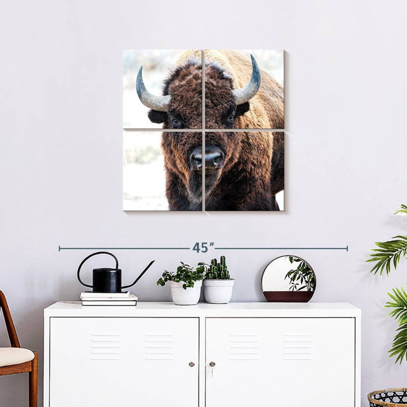 Bison d'Amérique - un trésor national, H 26 po x l 26 po