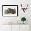 Sea Otter by J.W. Audubon - Picture Frame Painting Print-55614073-55614074