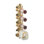 Thermostatic Volume Controls Module