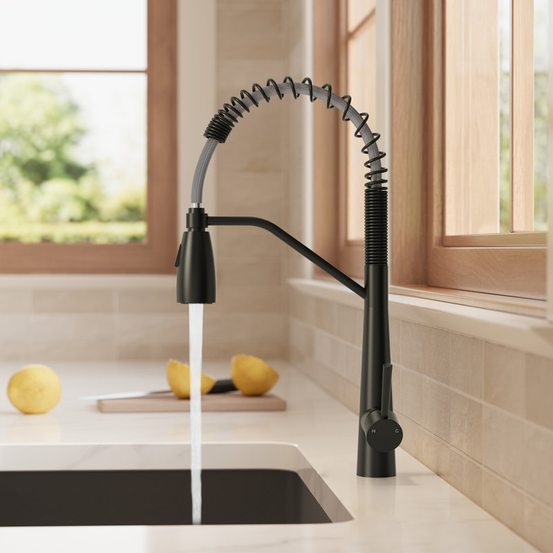  Robinet de cuisine commercial à double fonction avec bec à ressort à arc élevé, Noir mat