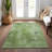  Caseville Area Rug-1461086404