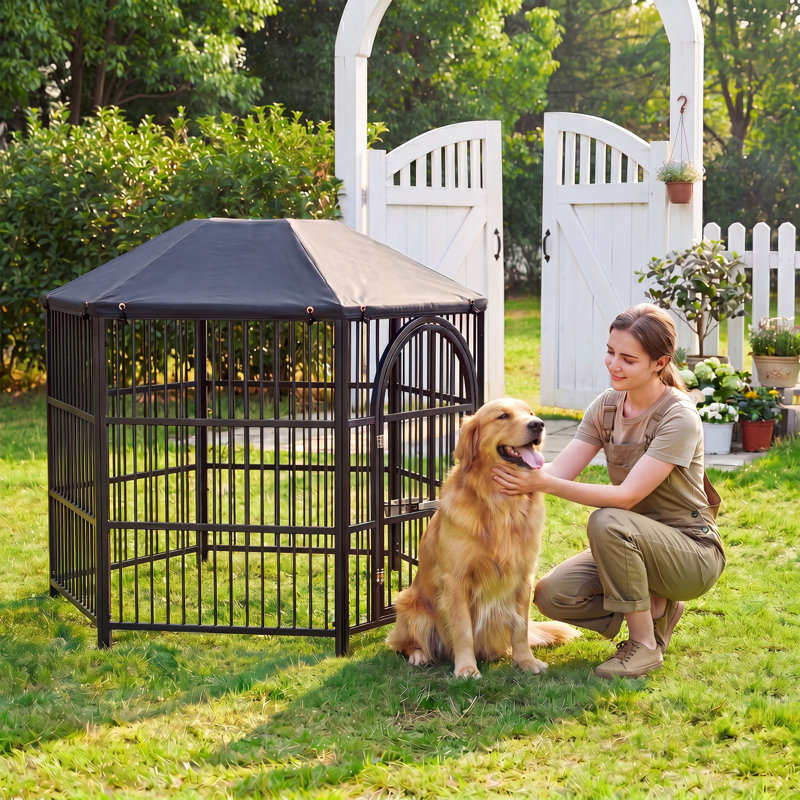Grande cage pour chien robuste avec couvercle intérieur et extérieur