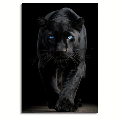 Black Panther with Blue Eyes Close Up Poster