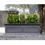 Boîte à fleurs Abram-58169453-55822545