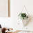 Trigg Planter Wall Decor-36905908