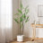 ARTIFICIAL DISC LEAF TREE-2068395381