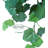 6' Realtouch Grapevine Garland