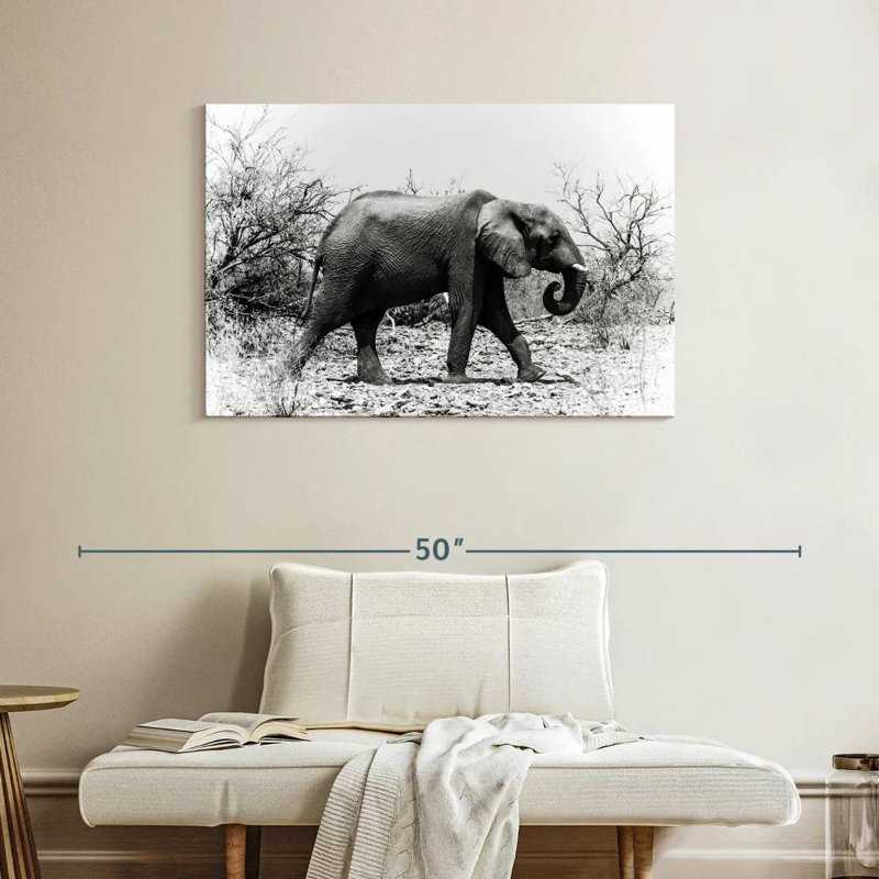 Éléphant d'Afrique Brampt au Botswana, H 26 po x l 39 po