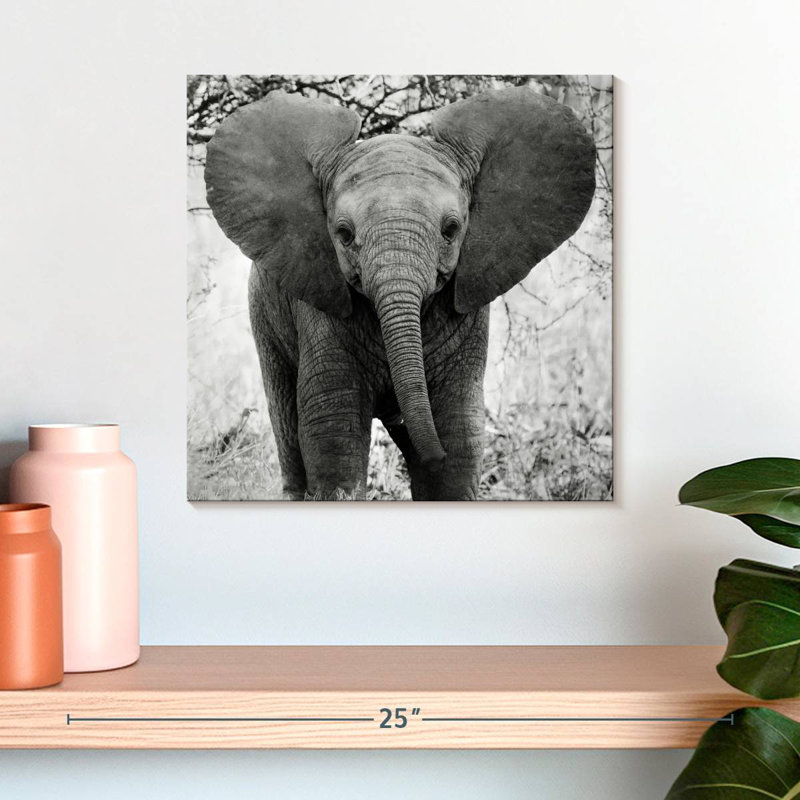 Drôle d'éléphant d'Afrique Brampt, H 16 po x l 16 po