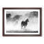 Horses - Picture Frame Painting Print-56711997-56712001