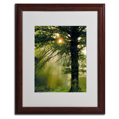« magique tree » par kathie mccurdy,, reproduction de photo encadrée
