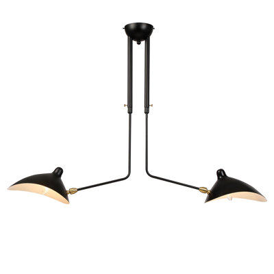 2-Light 41" Semi - Flush Mount Rotated Shade and Adjustable Height Pendant Lamp