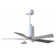 Patricia 42'' Ceiling Fan with LED Lights