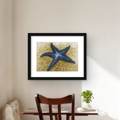 Beautiful Starfish - Classic Blue Framed Matted Print Decor