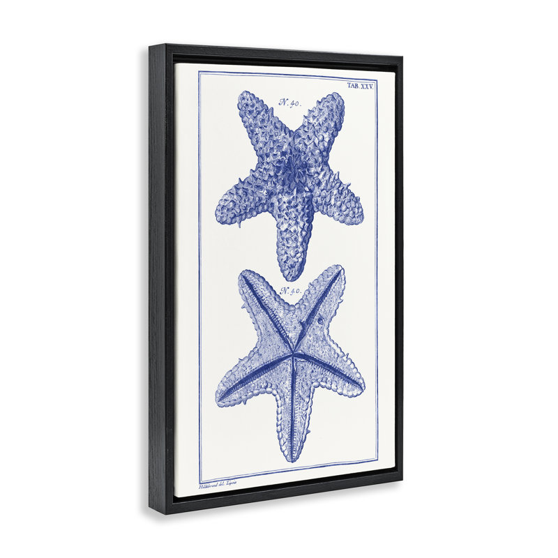 Toile flottante encadrée "Étoile de mer bleue" par Vision Studio, H 25 po x l 17 po, Cadre flottant noir de jais